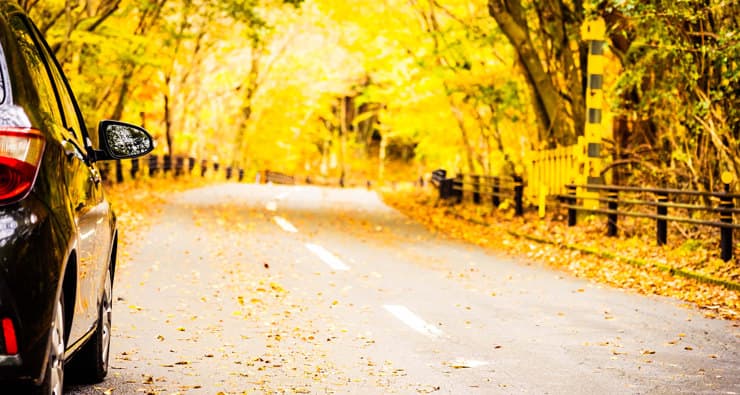 Cotxe a una carretera plena de fulles