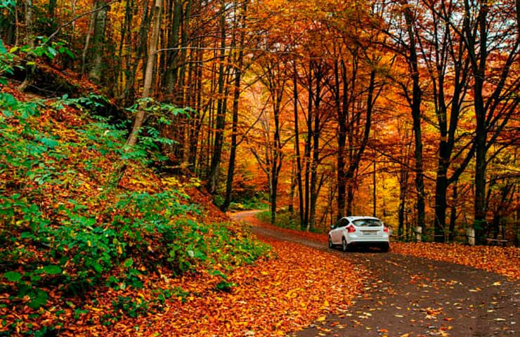 Mantenimiento otoño